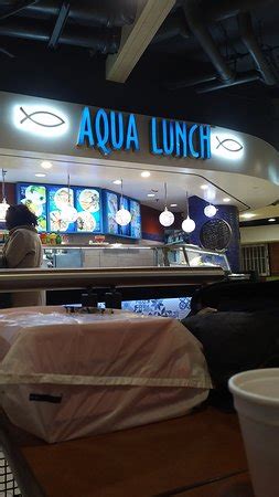 Aqua Lunch .